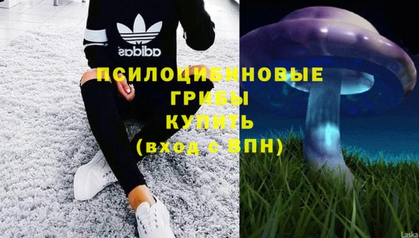 сатива Бугульма