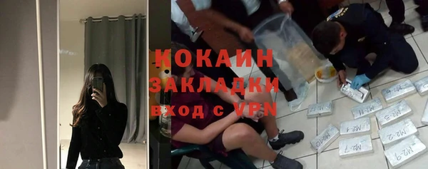 прущие грибы Сосновый Бор