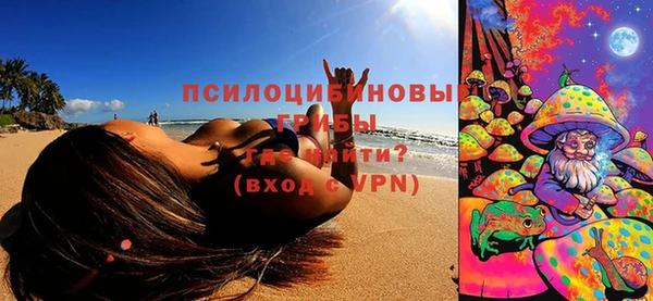 стаф Бронницы