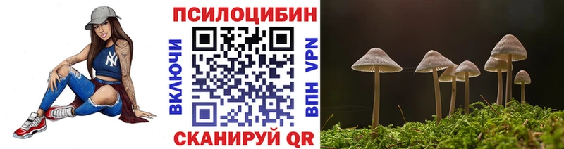 где купить наркоту  kraken маркетплейс  Псилоцибиновые грибы Magic Shrooms  Гулькевичи 