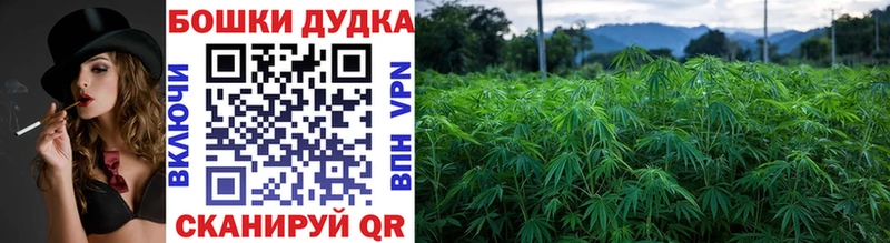 Каннабис Ganja Гулькевичи